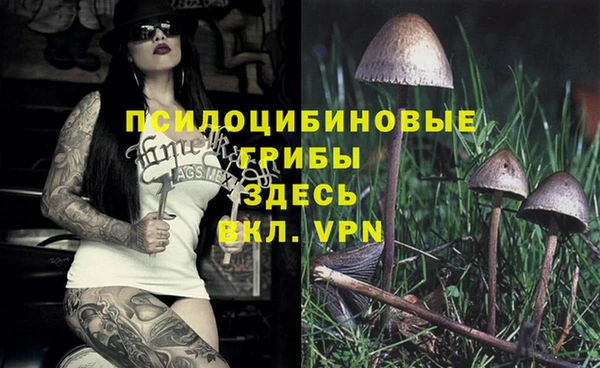 дживик Нефтегорск