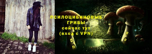 дживик Нефтегорск