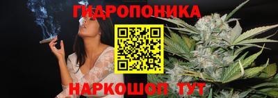 прущие грибы Бийск