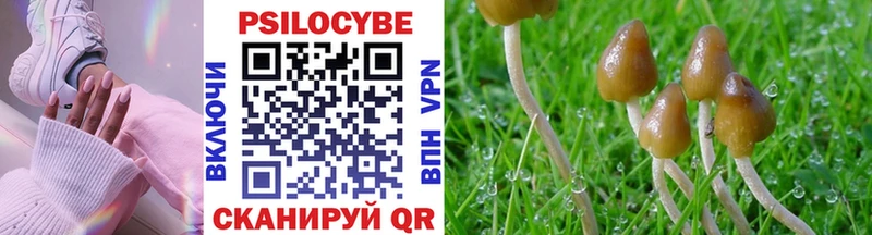 Псилоцибиновые грибы прущие грибы Ступино
