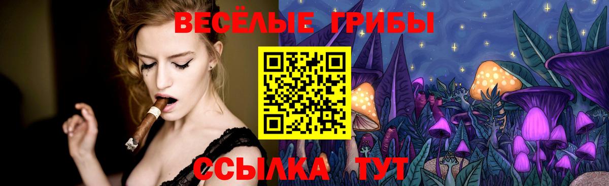 Ступино  Псилоцибиновые грибы Psilocybine cubensis  Вход с VPN  Галлюциногенные грибы Psilocybe 